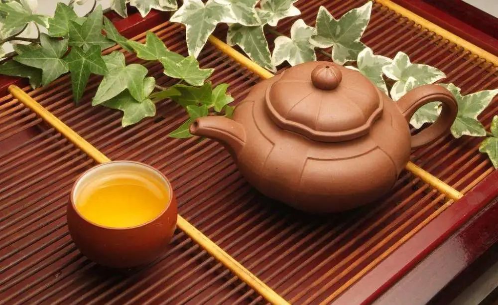 不必懂茶，只要喝茶就会受益