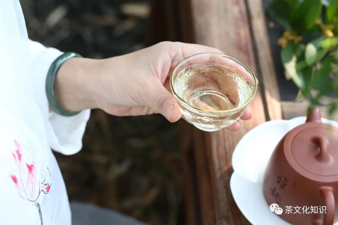 细数白茶的十大属性，让很多人迷恋！