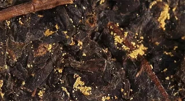 茶叶“金花”与“白霜”究竟有何异同之处？