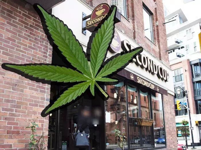 官宣 加拿大大麻正式合法 一睁眼 加拿大会是这样 自由微信 Freewechat