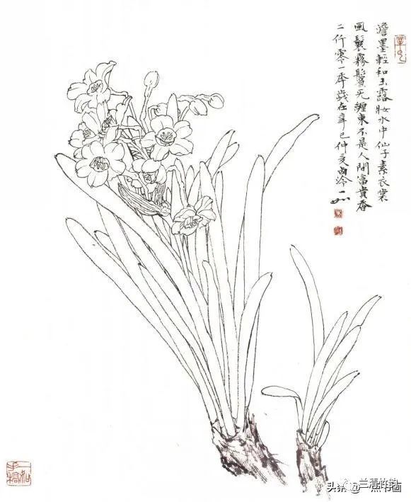 国画课程 怎样画水仙 国画写意水仙画法解析 水仙花叶与兰叶试比较 水仙小品创作步骤 国画课程 微信公众号文章阅读 Wemp