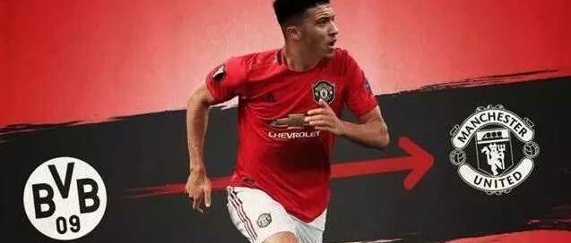 这一次，真的要下树了？