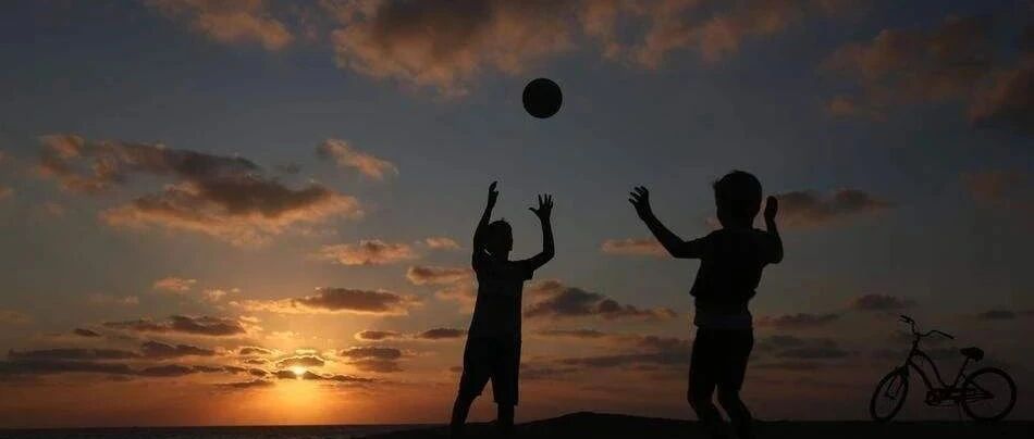 你为什么钟情自己的主队？