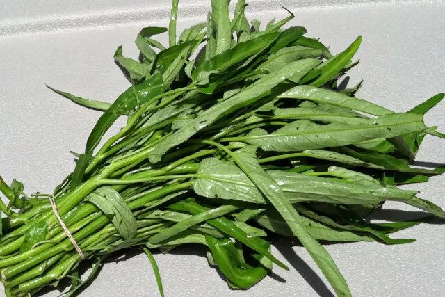 华人必须知道的澳洲菜场知识！别再傻傻站着，收好这份砍价攻略！（组图） - 5