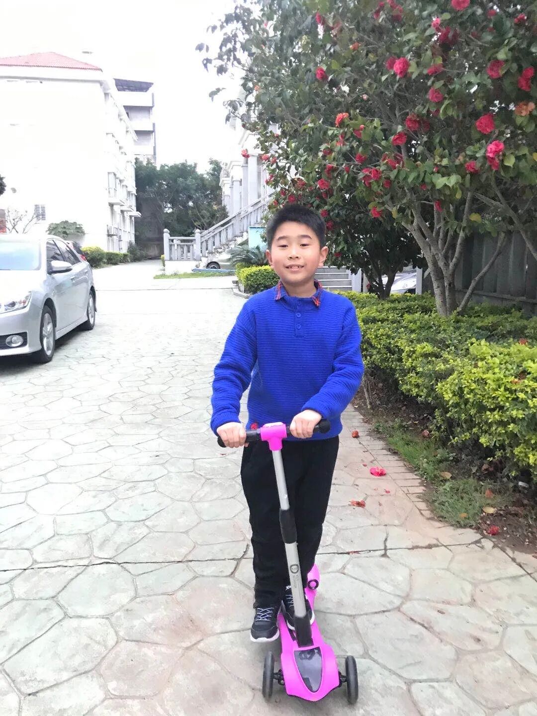 会游泳的鸡蛋为什么会浮起来_会游泳的鸡蛋是生的还是熟的_会游泳的鸡蛋