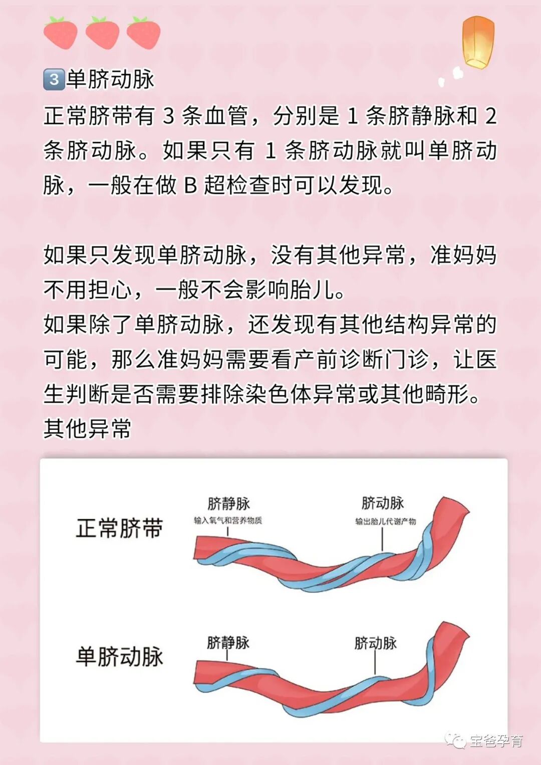 一次性脐带包怎么用怀孕不焦虑｜产检B超脐带异常一次性说清楚!_https://www.jmylbn.com_新闻资讯_第4张