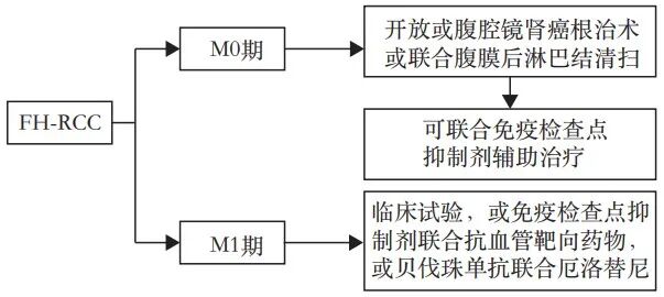 fh染色是什么意思延胡索酸水合酶缺陷型肾细胞癌临床诊治共识_https://www.jmylbn.com_新闻资讯_第8张
