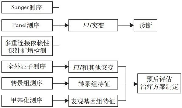 fh染色是什么意思延胡索酸水合酶缺陷型肾细胞癌临床诊治共识_https://www.jmylbn.com_新闻资讯_第7张