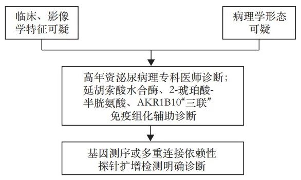 fh染色是什么意思延胡索酸水合酶缺陷型肾细胞癌临床诊治共识_https://www.jmylbn.com_新闻资讯_第6张