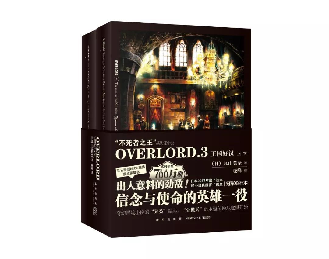 「不死者之王」降臨！《OVERLORD》小說簡體中文版火爆預售 動漫 第3張