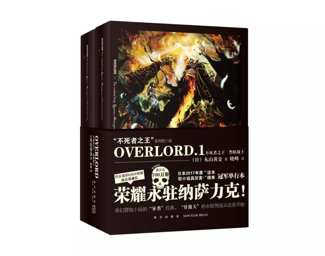 「不死者之王」降臨！《OVERLORD》小說簡體中文版火爆預售 動漫 第1張