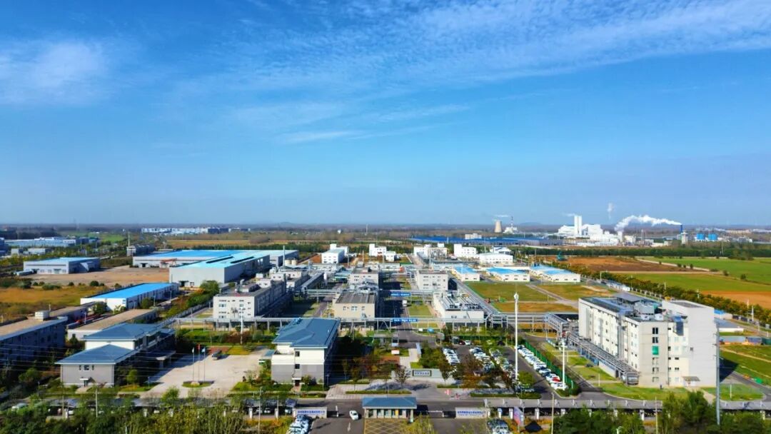 江苏“独角兽”，邳州+1！