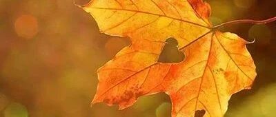 立秋之时余暑在 顺时养阴与润肺