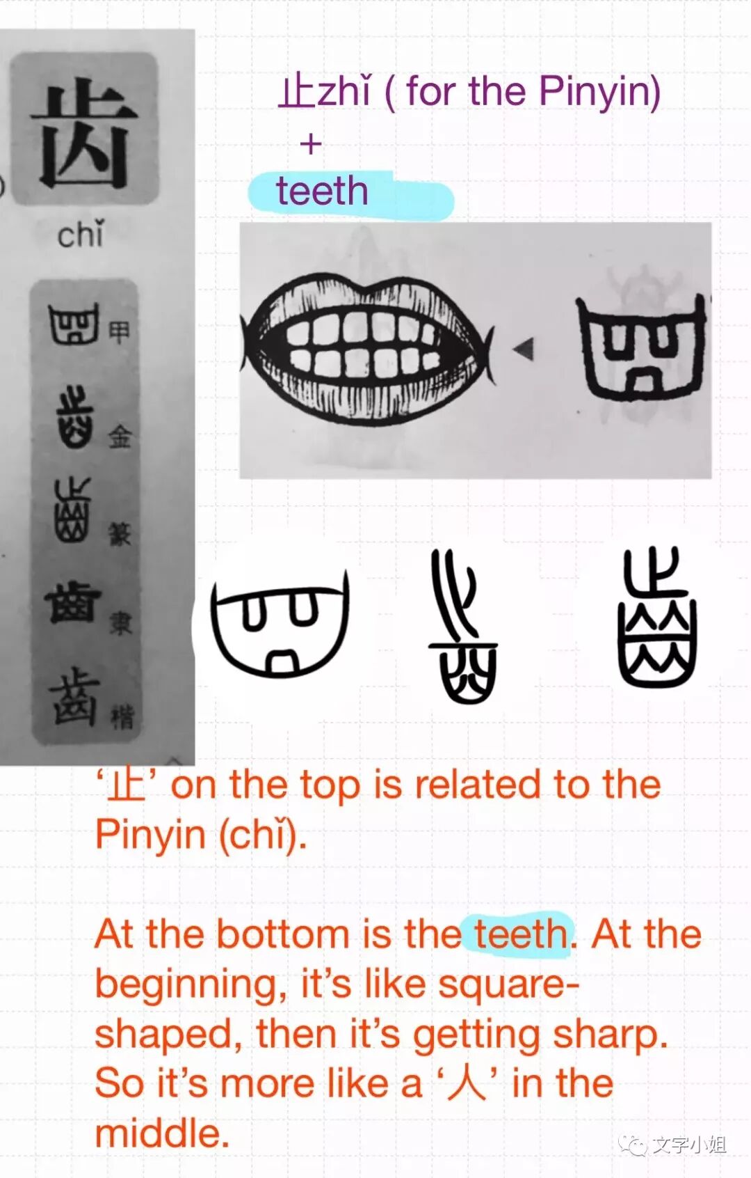 汉字解释音序c Chi Chong 尺齿赤舂虫崇 文字小姐 微信公众号文章阅读 Wemp