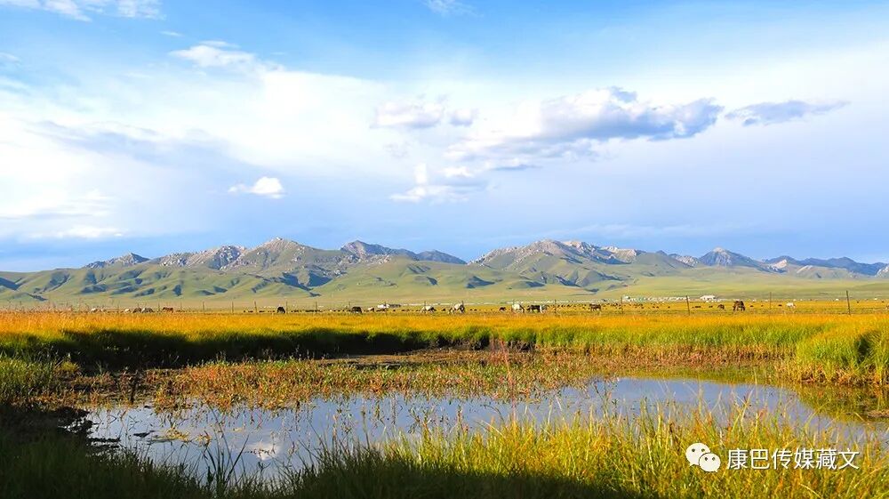 སྒྲུང་གཏམ་གསར་རྩོམ་ཐད་ཀྱི་དྲི་བ་དྲིས་ལན་སྐལ་ལྡན་ཡིད་ཀྱི་མུན་སེལ།༼༩༽