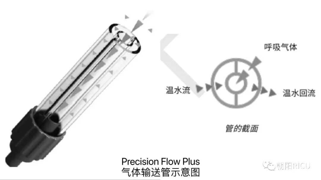airvo2怎么用两种高流量氧疗设备性能比较_https://www.jmylbn.com_新闻资讯_第2张