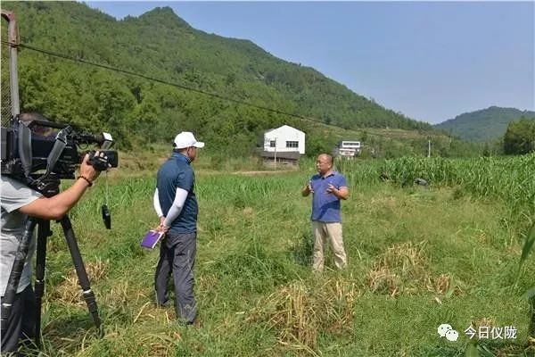 中央致富经在哪个频道_中央7致富经_中央致富频道视频