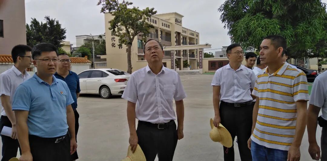 谢伍率队到坡头镇调研