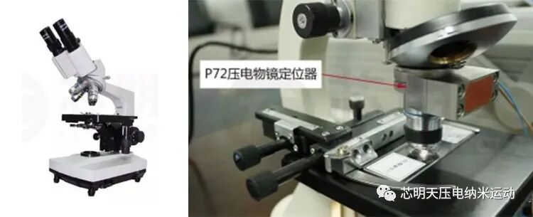 压电物镜定位器用于大幅提高普通显微镜的聚焦精度