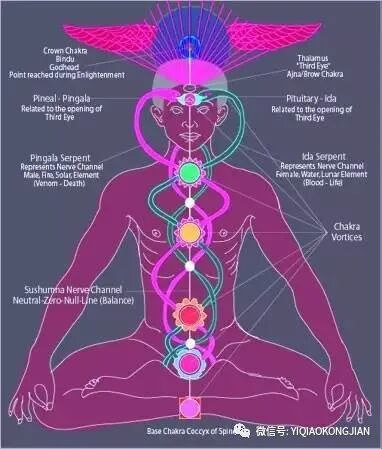 人类的第三只眼睛~松果体