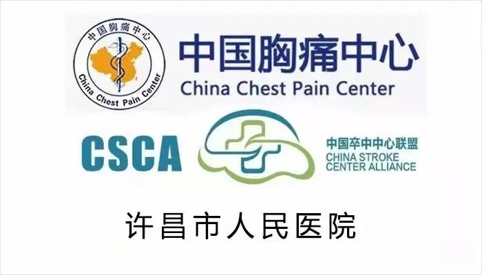 悬吊训练系统 怎么装悬吊训练——给宝宝不一样的运动体验_https://www.jmylbn.com_新闻资讯_第13张