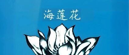 cover_image