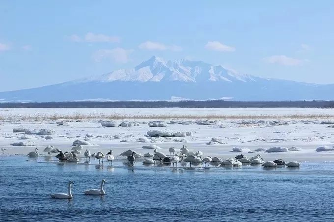 北海道 | 「禁欲」外衣包裹下的「溫暖國度」，人間值得 旅遊 第20張