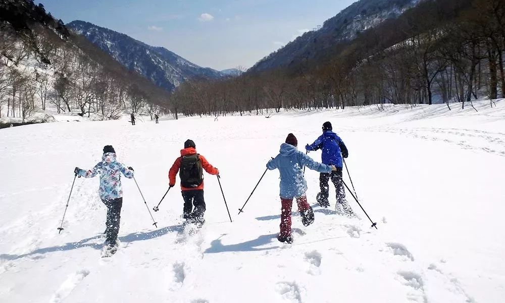 北海道 | 「禁欲」外衣包裹下的「溫暖國度」，人間值得 旅遊 第9張