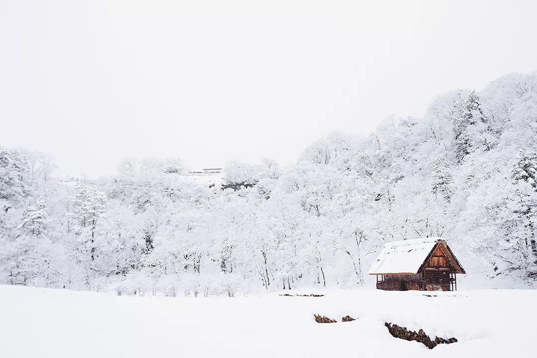 北海道小樽 | 一封來自雪國的情書，請接收 旅遊 第1張