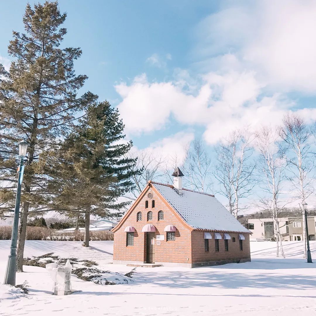 北海道小樽 | 一封來自雪國的情書，請接收 旅遊 第7張