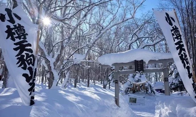 北海道小樽 | 一封來自雪國的情書，請接收 旅遊 第17張