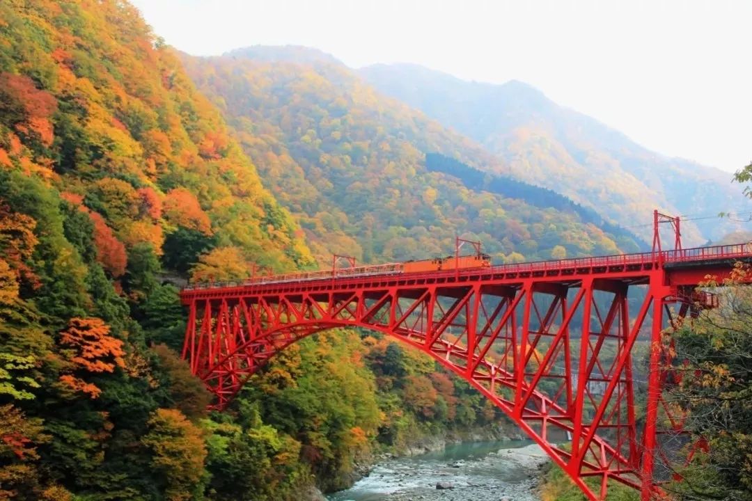 2019日本紅葉最佳賞楓去處推薦 | 最全指南！ 旅遊 第22張