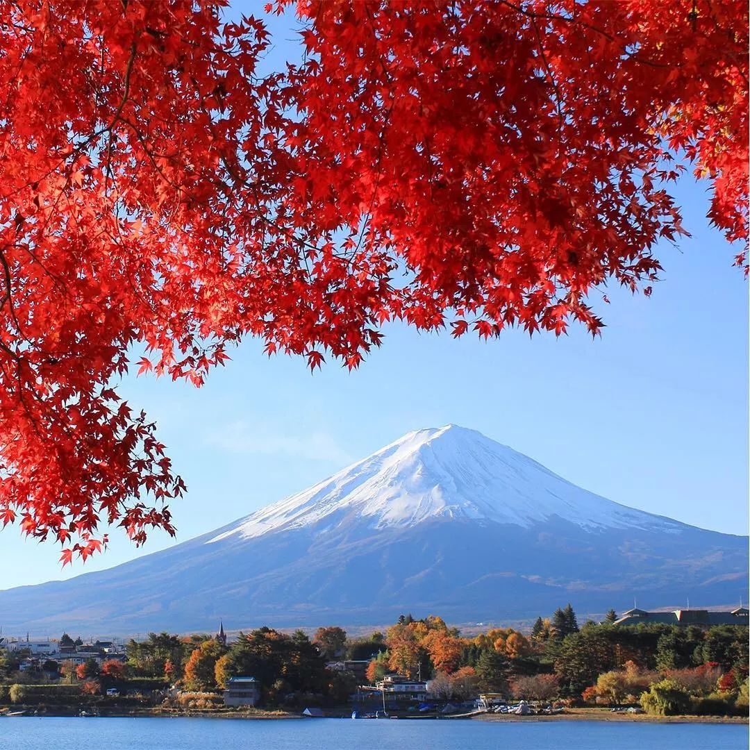 2019日本紅葉最佳賞楓去處推薦 | 最全指南！ 旅遊 第23張