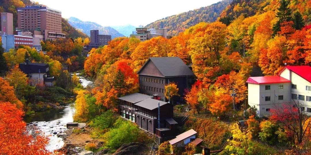 2019日本紅葉最佳賞楓去處推薦 | 最全指南！ 旅遊 第18張