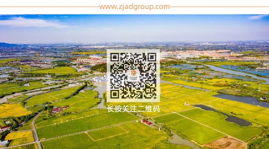 喜报丨集团乡村产业发展案例成功入选我省乡村振兴最佳创新实践案例