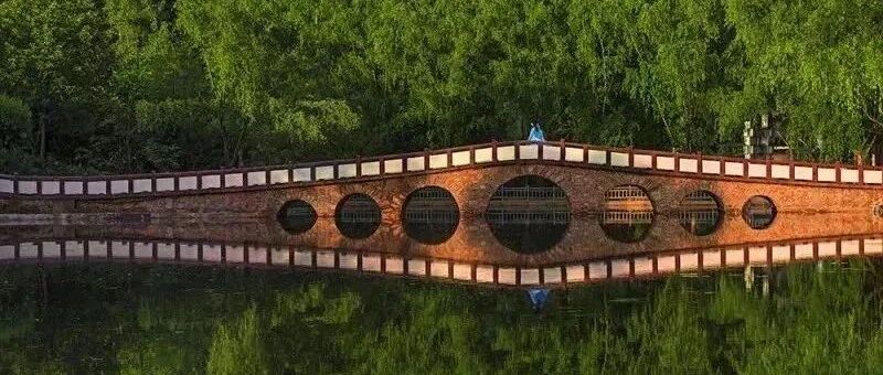 免票！半价！这些福利来了……