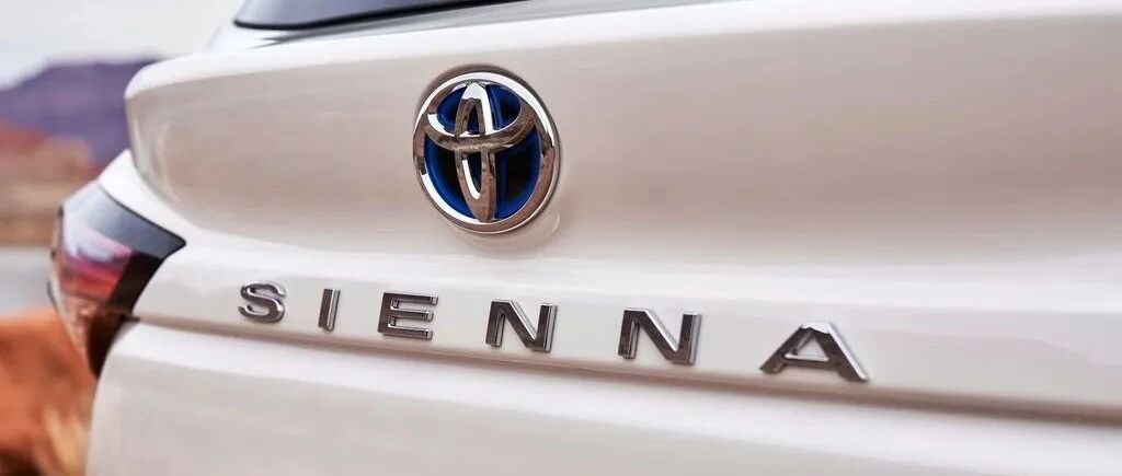 赛那为什么这么火？看完我有点懂了