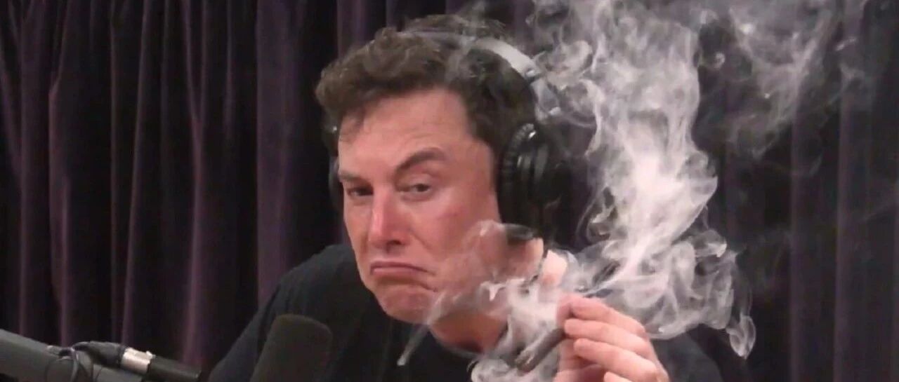 特斯拉老板可能是个情种，还“飞叶子”