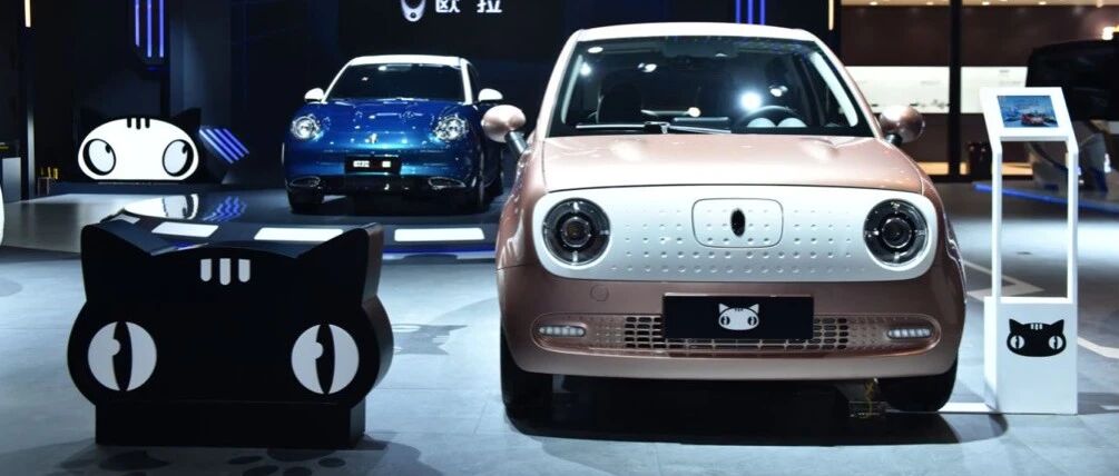 黑猫来袭！欧拉破圈构建新物种！