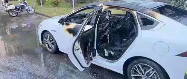 赔100万还是赚100万？比亚迪：你说了算