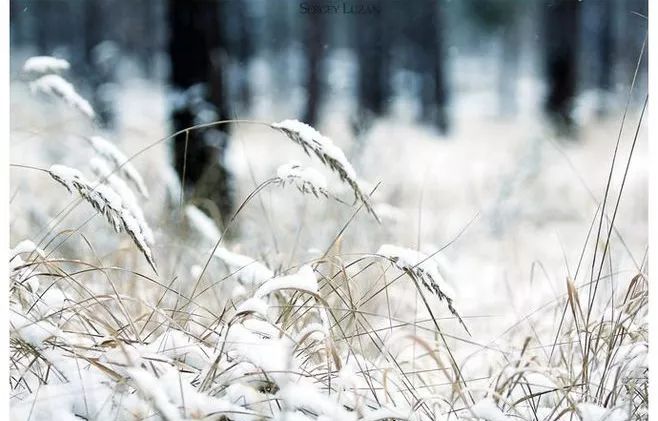 雪，凝固了冬日最美的時光 | 微言夜讀·經典 戲劇 第4張