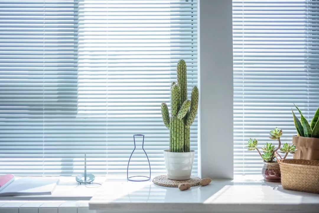 一房变七房，26㎡蜗居变身“最美单身公寓”！