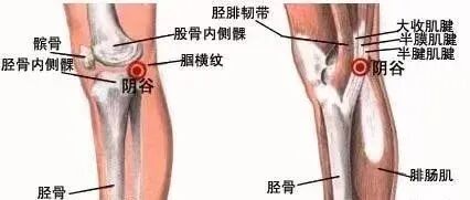 中风后遗症特效新穴