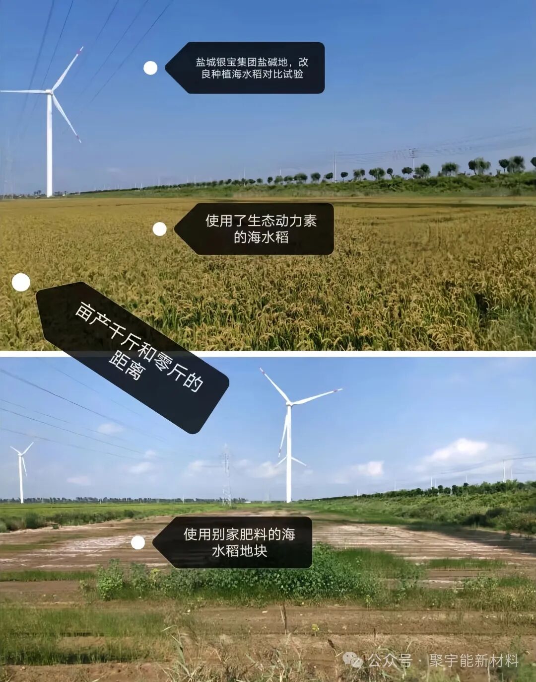 在生命的演化过程中，真的存在生命动力源吗？