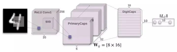 拆解式解讀如何用飛槳復現膠囊神經網路（Capsule Network）