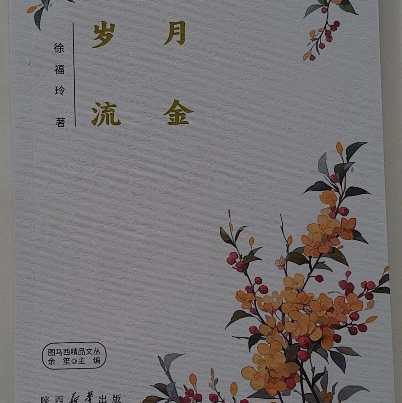 【青春语文·福玲专栏】只是岁月的拾荒者