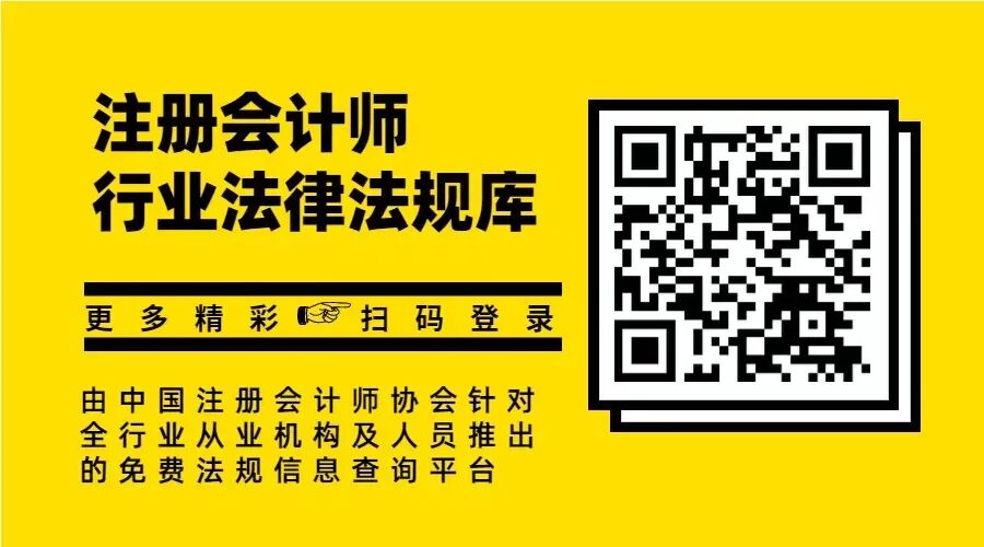 审计软件开发_软件定制开发审计_审计大师软件正版