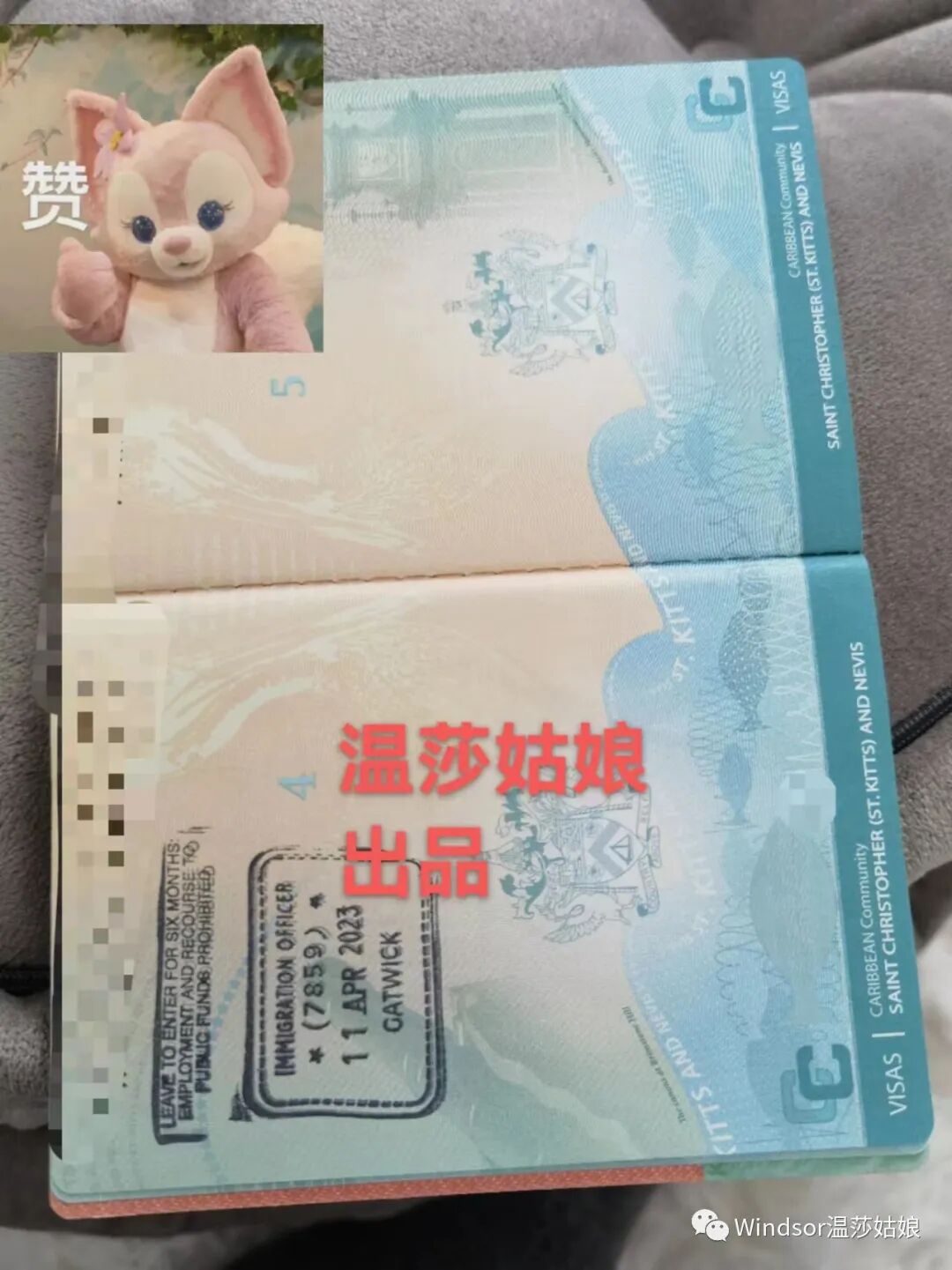 网友亲历！圣基茨护照如何在新加坡中转出行- 新加坡眼