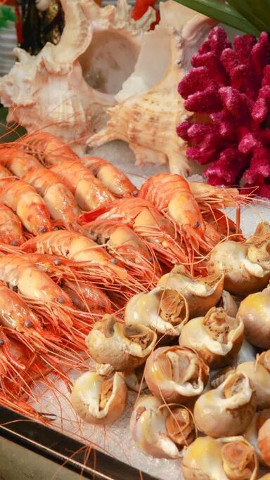 惠州大亚湾海边地址_惠州海边_惠州霞涌海边骑车