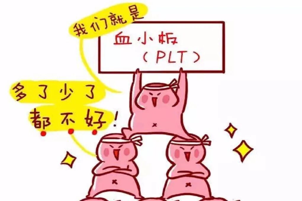血小板偏高会怎样